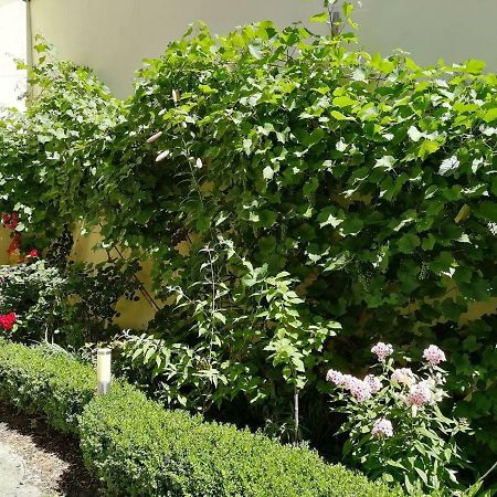 Apartament Marci Rudolstadt Zewnętrze zdjęcie